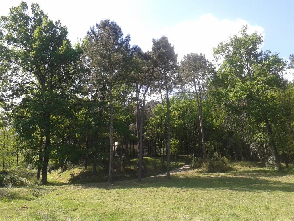Park View Country House B&B Capannori Luaran gambar