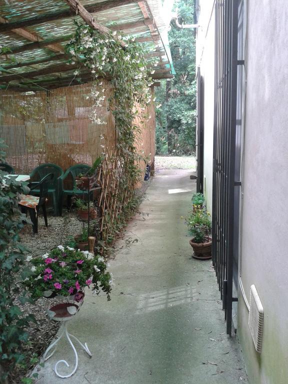 Park View Country House B&B Capannori Luaran gambar