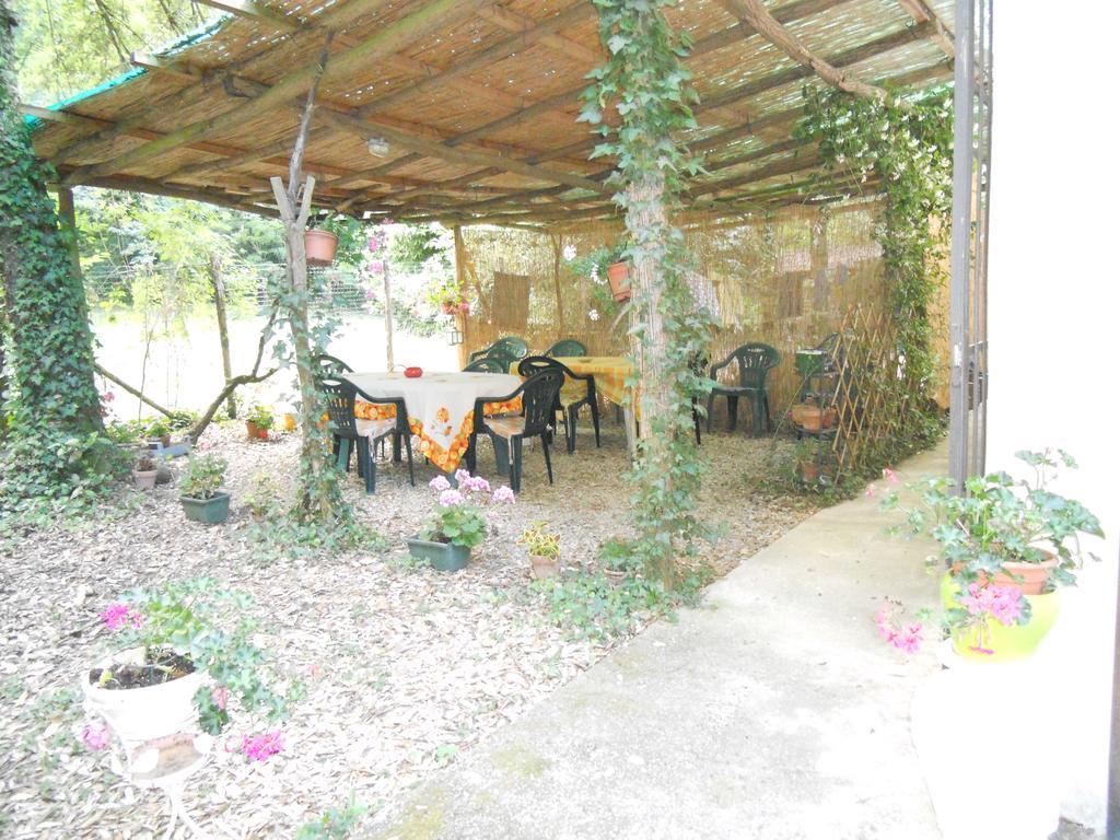 Park View Country House B&B Capannori Luaran gambar