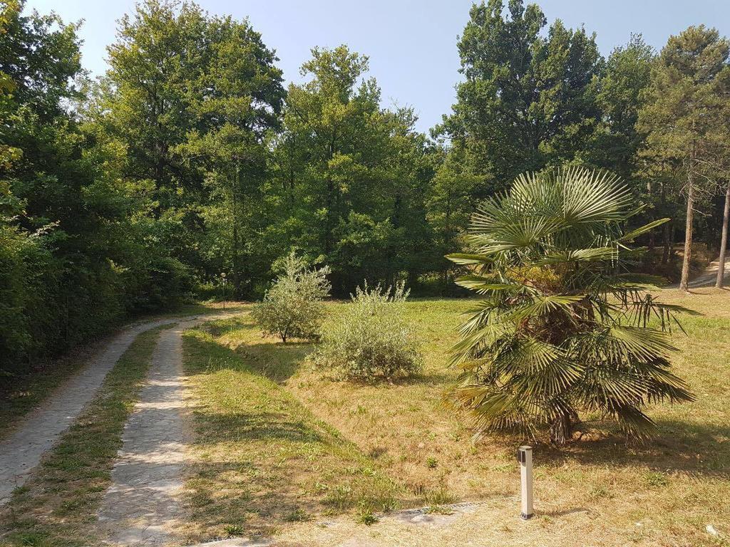 Park View Country House B&B Capannori Luaran gambar