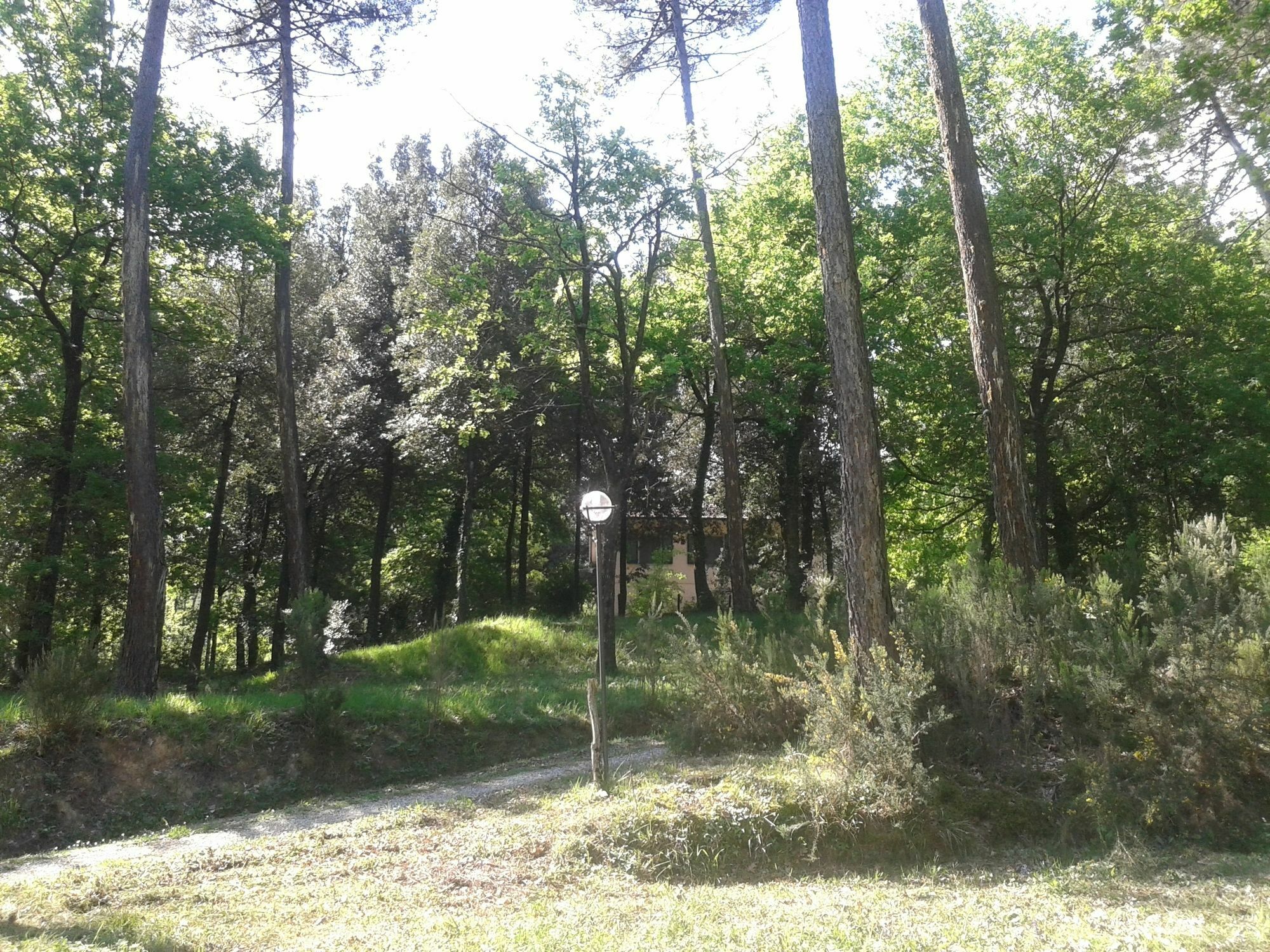 Park View Country House B&B Capannori Luaran gambar