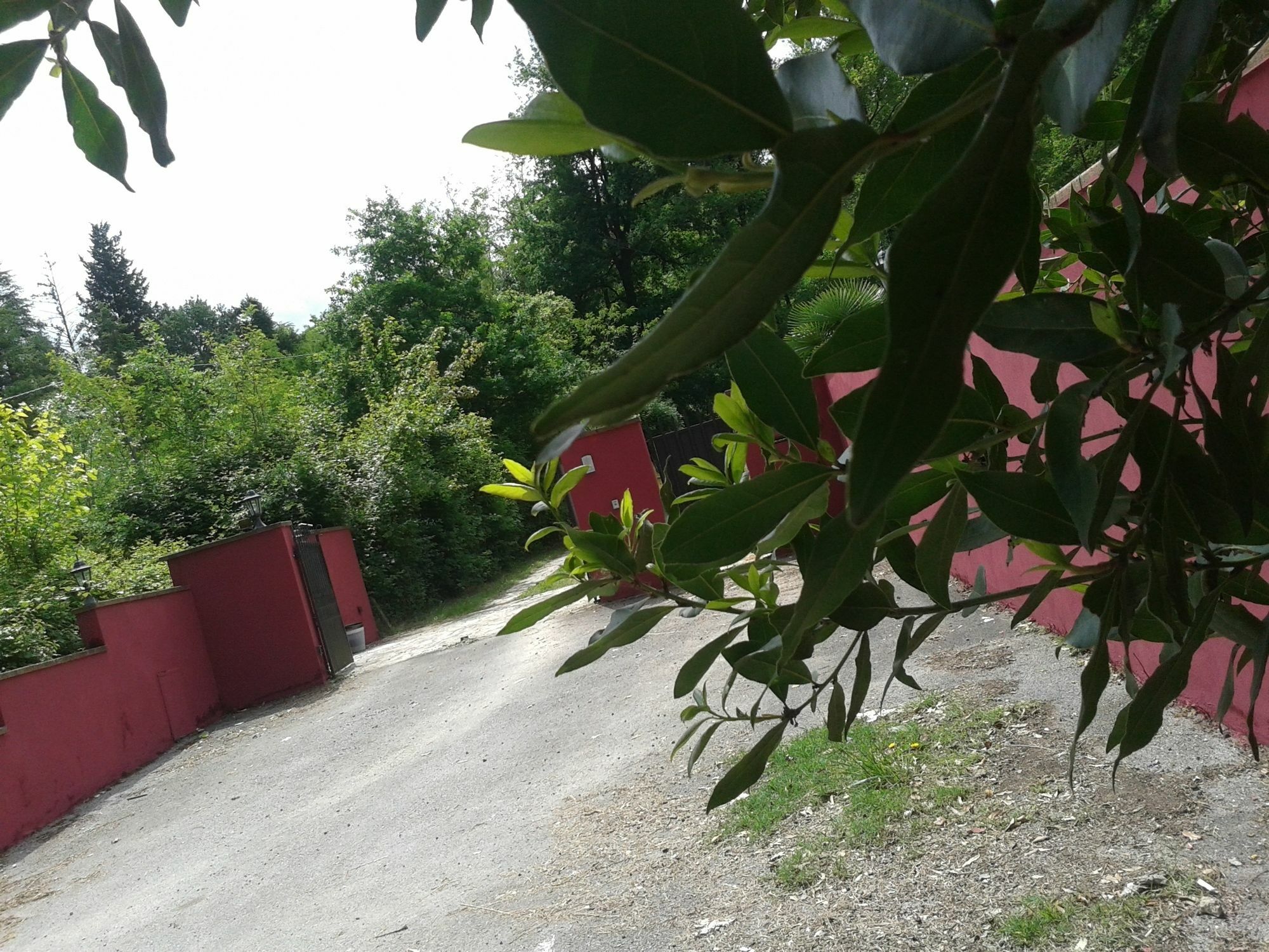 Park View Country House B&B Capannori Luaran gambar